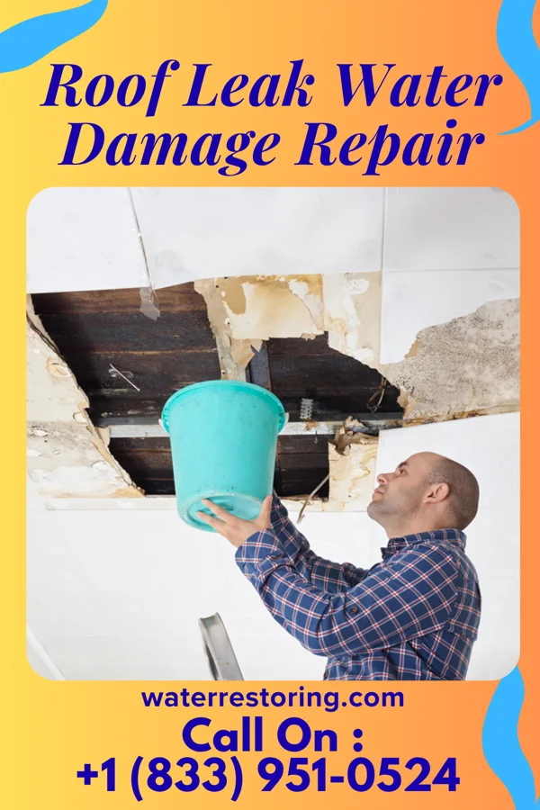 Roof Leak Water Damage Repair in Shallowater, TX