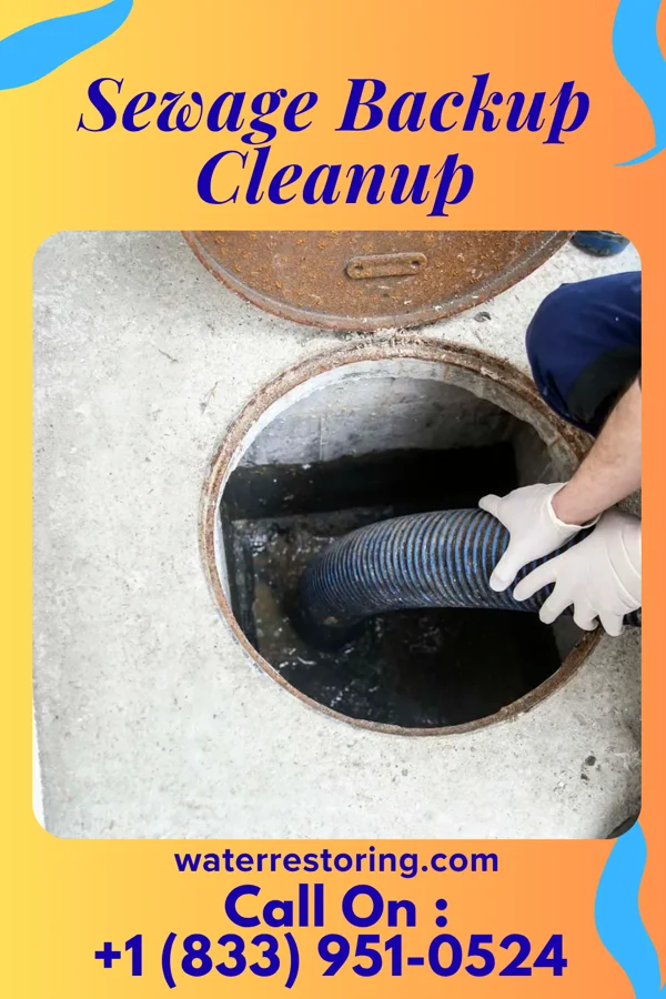 Sewage Backup Cleanup in Shallowater, TX