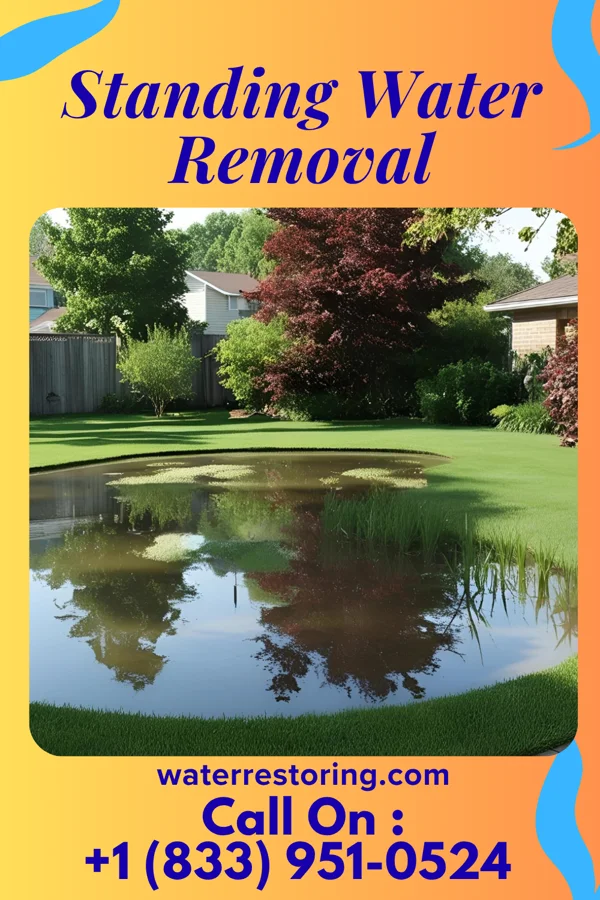 Standing Water Removal in Shallowater, TX